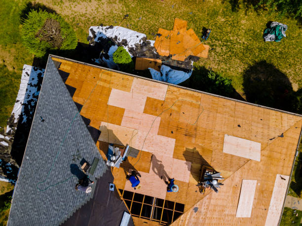 Professional Roofing Contractor in Clara City, MN