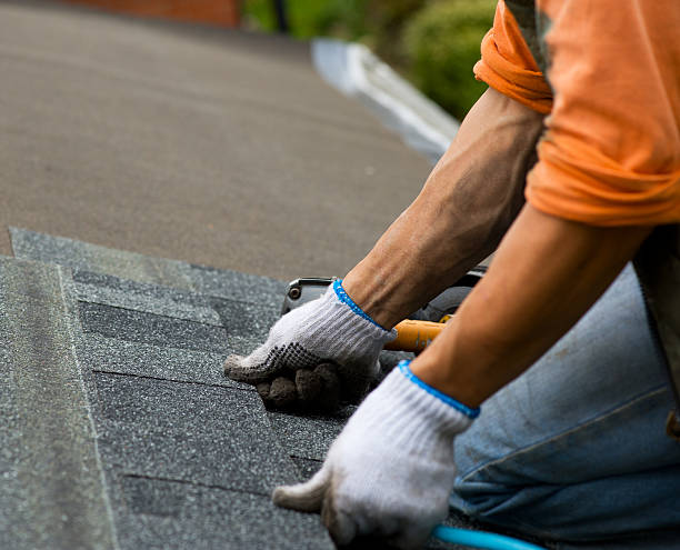 Roof Waterproofing Services in Clara City, MN