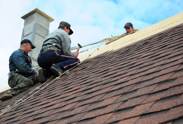Best Commercial Roof Installation  in Clara City, MN