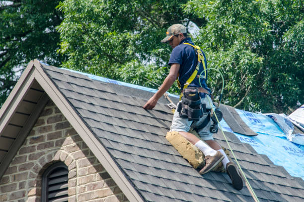 Best Flat Roof Repair Services  in Clara City, MN
