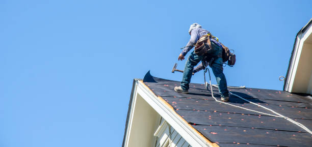 Best Commercial Roofing Services  in Clara City, MN